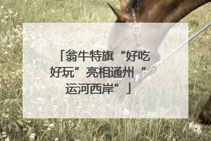 翁牛特旗“好吃好玩”亮相通州“运河西岸”