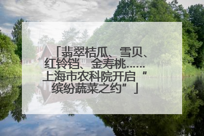 翡翠桔瓜、雪贝、红铃铛、金寿桃……上海市农科院开启“缤纷蔬菜之约”