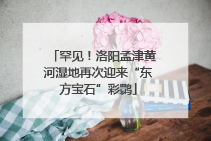 罕见！洛阳孟津黄河湿地再次迎来“东方宝石”彩鹮