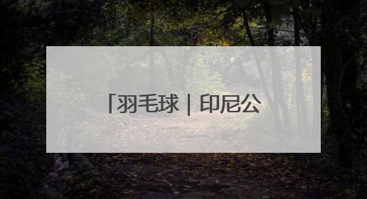 羽毛球｜印尼公开赛：刘圣书/谭宁晋级女双八强