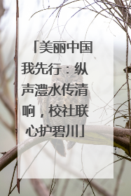美丽中国我先行：纵声澧水传清响，校社联心护碧川
