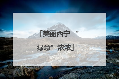 美丽西宁 “绿意”浓浓