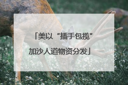 美以“插手包揽”加沙人道物资分发