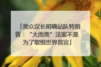 美众议长明确站队特朗普：“大而美”法案不是为了取悦世界首富