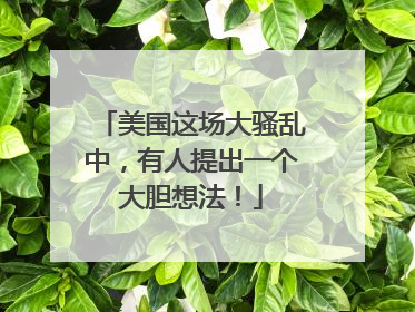 美国这场大骚乱中，有人提出一个大胆想法！