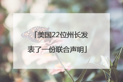 美国22位州长发表了一份联合声明