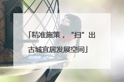 精准施策，“扫”出古城宜居发展空间