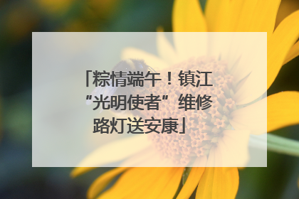 粽情端午！镇江“光明使者”维修路灯送安康