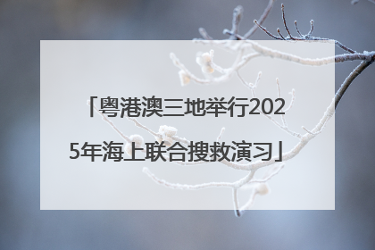 粤港澳三地举行2025年海上联合搜救演习