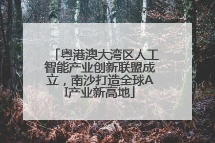 粤港澳大湾区人工智能产业创新联盟成立，南沙打造全球AI产业新高地