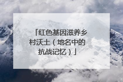 红色基因滋养乡村沃土（地名中的抗战记忆）