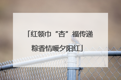 红领巾“杏”福传递 粽香情暖夕阳红