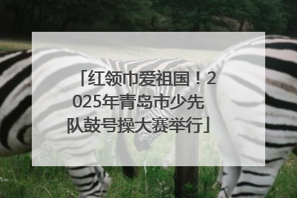 红领巾爱祖国！2025年青岛市少先队鼓号操大赛举行