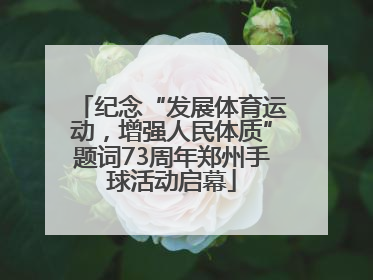 纪念“发展体育运动，增强人民体质”题词73周年郑州手球活动启幕