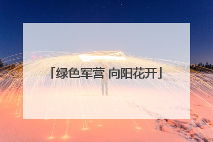 绿色军营 向阳花开