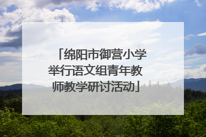 绵阳市御营小学举行语文组青年教师教学研讨活动