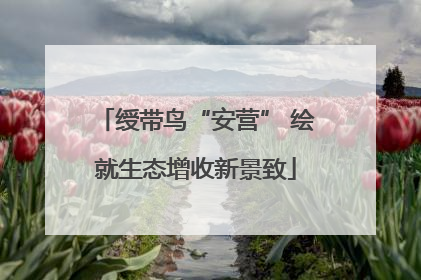 绶带鸟“安营” 绘就生态增收新景致
