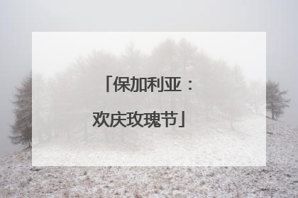 保加利亚：欢庆玫瑰节
