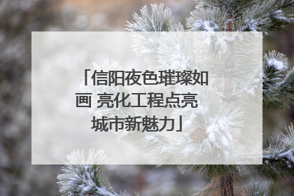 信阳夜色璀璨如画 亮化工程点亮城市新魅力