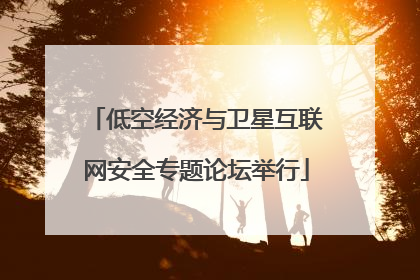低空经济与卫星互联网安全专题论坛举行