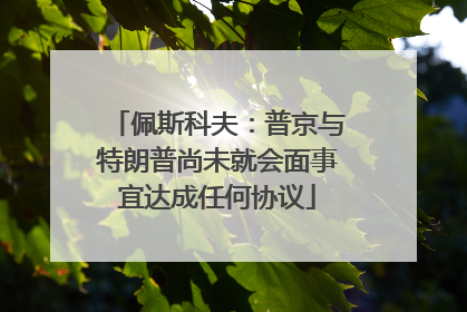 佩斯科夫：普京与特朗普尚未就会面事宜达成任何协议