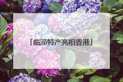 临潼特产亮相香港