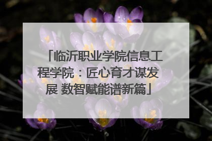 临沂职业学院信息工程学院：匠心育才谋发展 数智赋能谱新篇