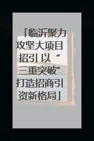 临沂聚力攻坚大项目招引 以“三重突破”打造招商引资新格局