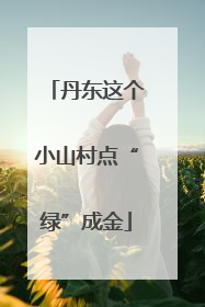 丹东这个小山村点“绿”成金