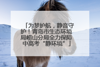 为梦护航，静音守护！青岛市生态环境局崂山分局全力保障中高考“静环境”
