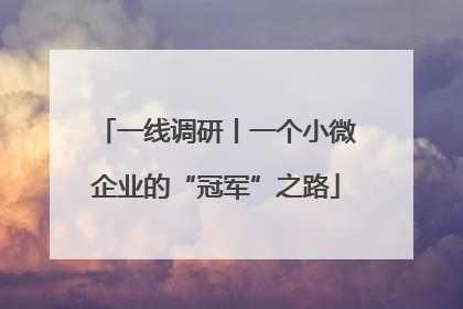 一线调研丨一个小微企业的“冠军”之路