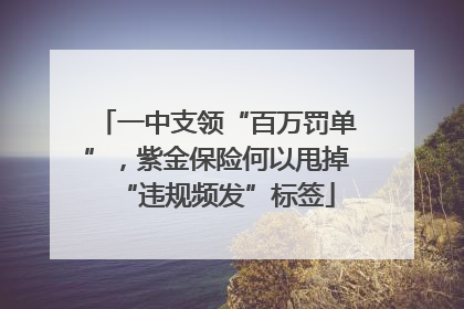 一中支领“百万罚单”，紫金保险何以甩掉“违规频发”标签