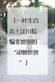 一叶生百态！江川棕编非遗里的“动物世界”