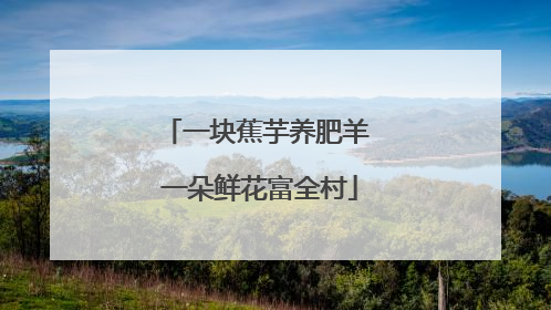一块蕉芋养肥羊 一朵鲜花富全村