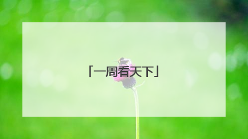 一周看天下