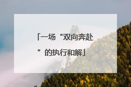 一场“双向奔赴”的执行和解