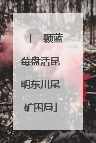一颗蓝莓盘活昆明东川尾矿困局