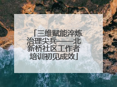 三维赋能淬炼治理尖兵——北新桥社区工作者培训初见成效