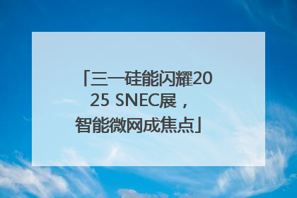 三一硅能闪耀2025 SNEC展，智能微网成焦点