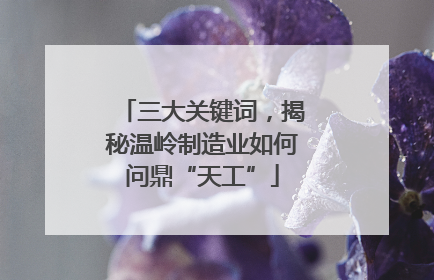 三大关键词，揭秘温岭制造业如何问鼎“天工”
