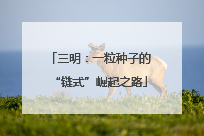 三明：一粒种子的“链式”崛起之路
