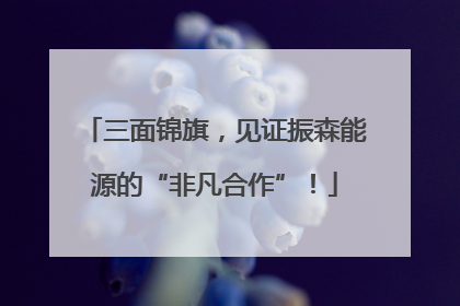 三面锦旗，见证振森能源的“非凡合作”！