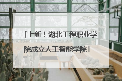 上新！湖北工程职业学院成立人工智能学院
