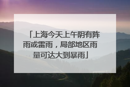上海今天上午阴有阵雨或雷雨，局部地区雨量可达大到暴雨