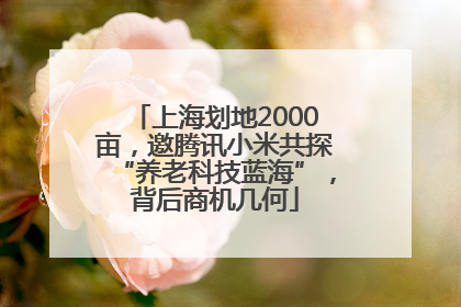 上海划地2000亩，邀腾讯小米共探“养老科技蓝海”，背后商机几何