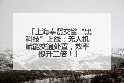 上海奉贤交警“黑科技”上线：无人机赋能交通处置，效率提升三倍！