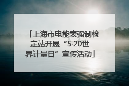 上海市电能表强制检定站开展“5·20世界计量日”宣传活动