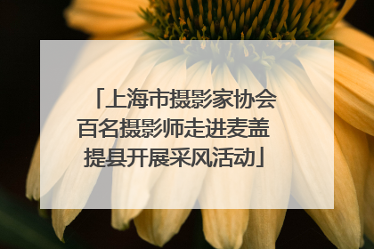 上海市摄影家协会百名摄影师走进麦盖提县开展采风活动