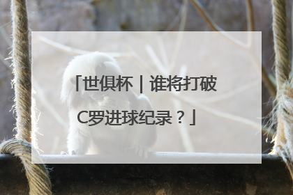 世俱杯｜谁将打破C罗进球纪录？