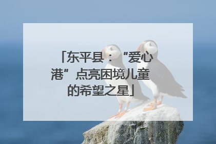 东平县：“爱心港”点亮困境儿童的希望之星